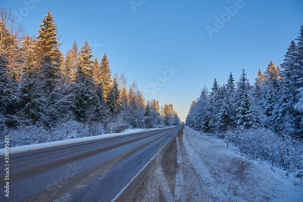Fototapeta Car paved road in the middle of a snow-covered forest under a bright blue sky. Winter landscape.