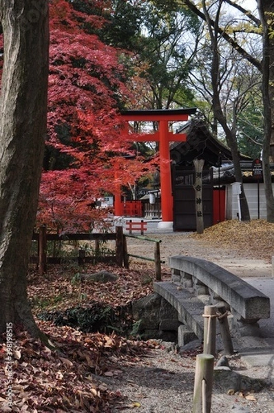 Fototapeta 糺の森　秋