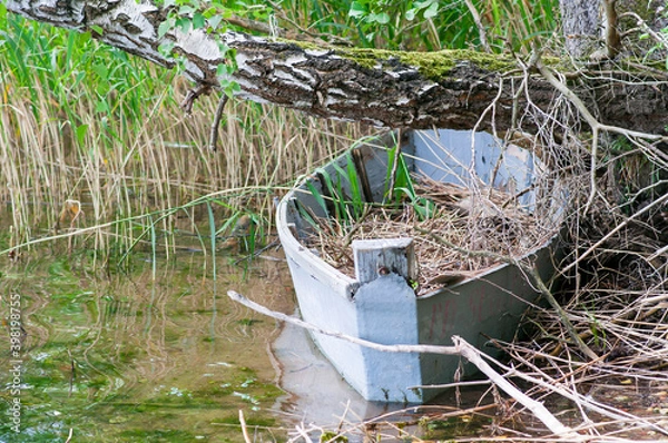 Obraz An old ruined, abandoned boat on the shore of a lake in reeds