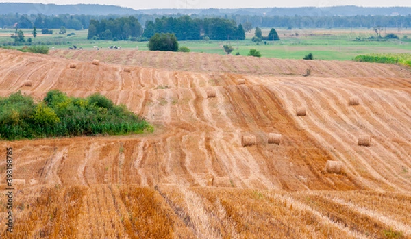 Obraz A stubble field with straw bales in Masuria