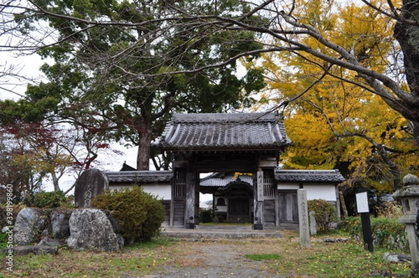 Fototapeta 史跡　国分寺跡