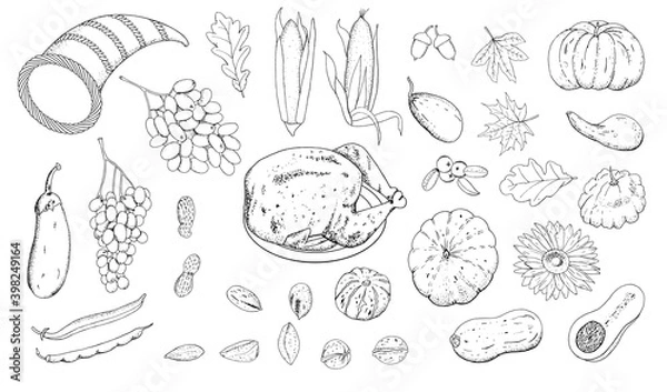 Fototapeta Vector set for Thanksgiving Day, hand-drawn outline of the shape isolate on a white background.