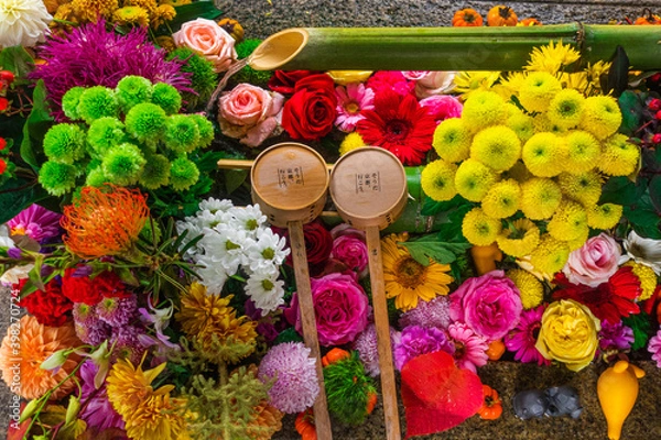 Obraz 京都 秋の勝林寺と風情感じる紅葉景色