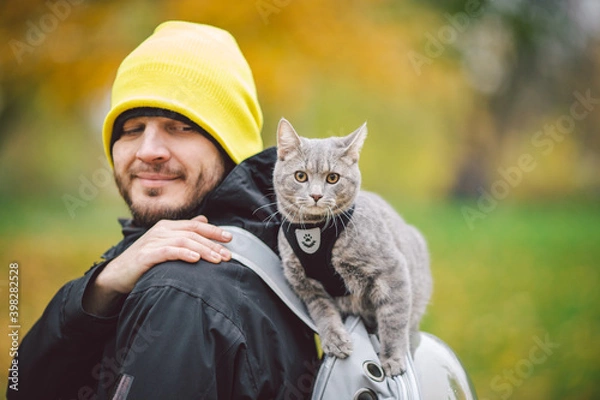 Fototapeta Portrait of tall young Caucasian happy man outdoor playing with gray funny handsome kitten sits on his back on transparent cat backpack carriers bag, close-up nature green background,people and pet