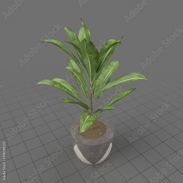 Fototapeta Artificial potted plant 2