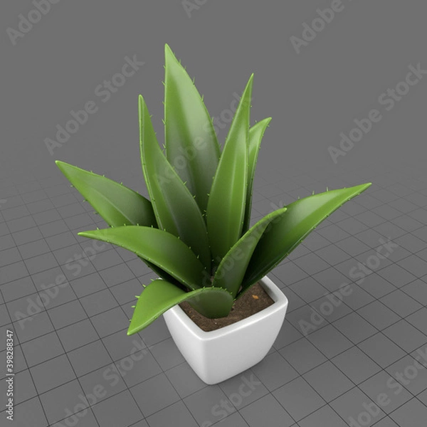 Fototapeta Artificial potted cactus 1