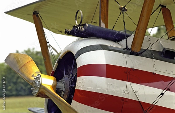 Obraz WWI American Fighter Plane