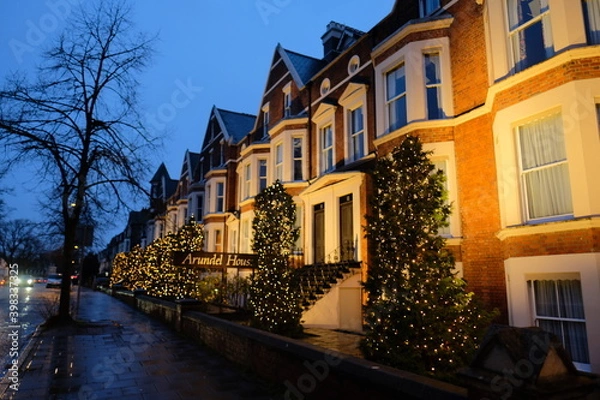 Fototapeta Multiple festive decorated houses in Cambridge city, people putting christmas trees in front of their houses as the holidays approach in december