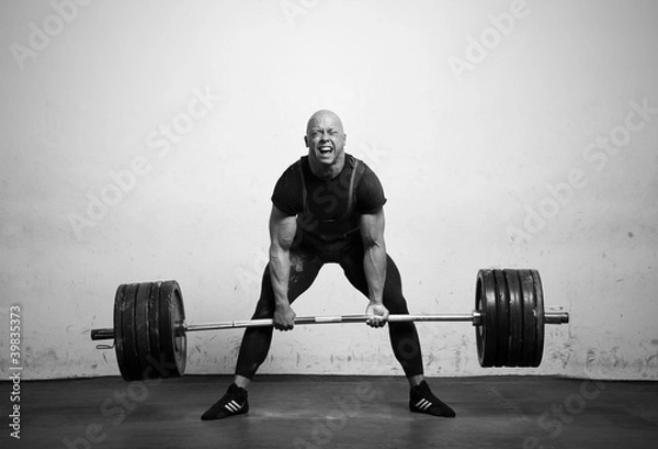 Obraz Powerlifter with strong arms lifting weights