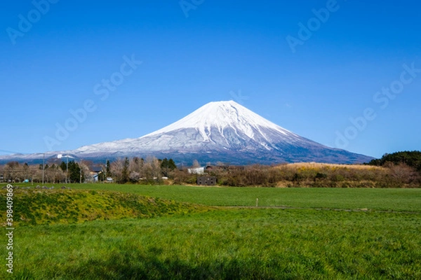 Fototapeta 朝霧高原と富士山