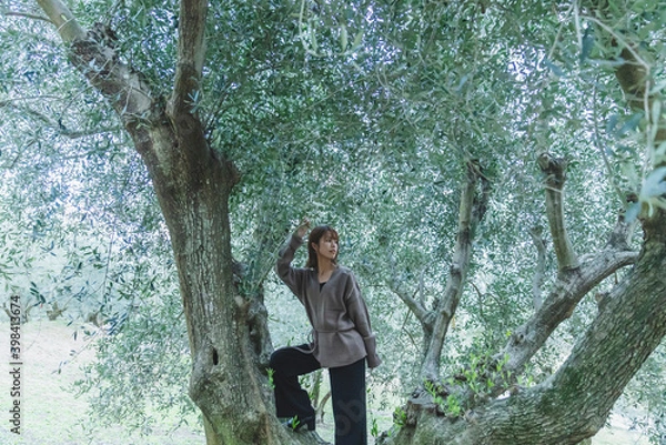 Fototapeta オリーブ畑の女性