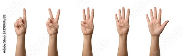 Fototapeta Woman hands counting from one to five. Set of the gestures for communication