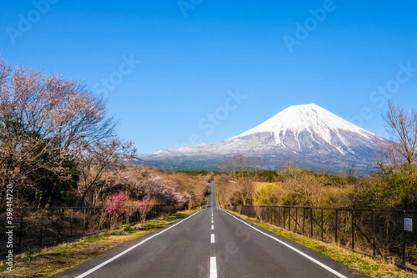 Fototapeta 道と富士山