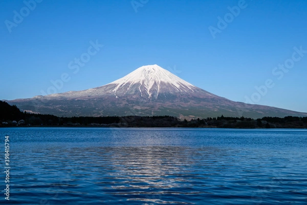 Obraz 静岡県の田貫湖と富士山