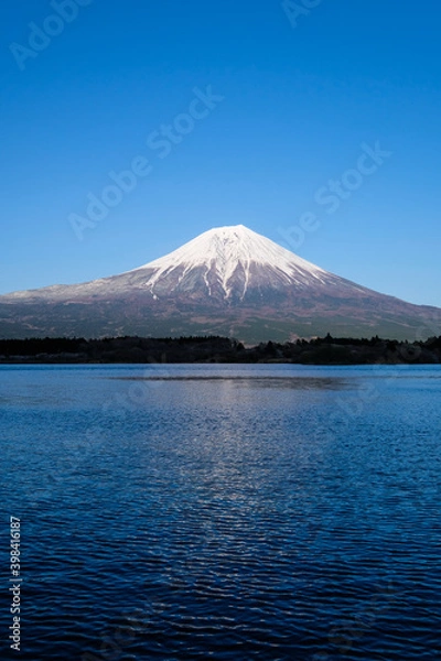 Obraz 静岡県の田貫湖と富士山