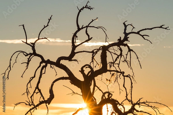 Obraz la luz del sol