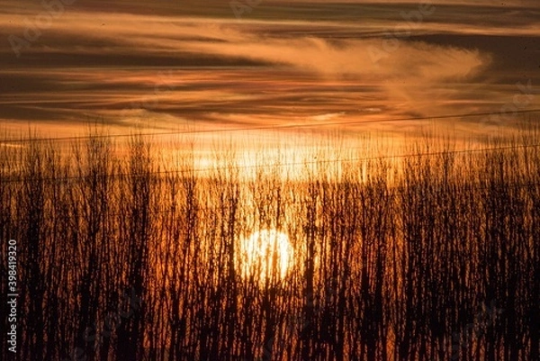 Obraz la luz del sol