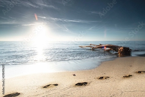 Obraz la luz del sol