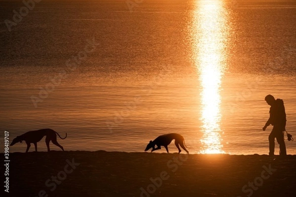 Obraz la luz del sol