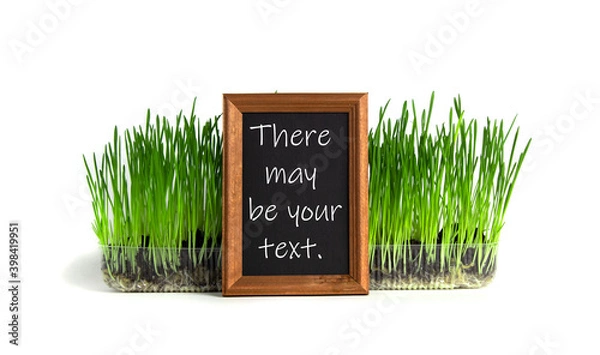 Obraz Chalk board with space for text in front of green grass on isolated white background.