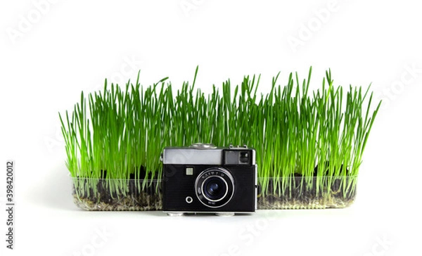 Fototapeta retro camera with small lens stands in front of a container with grass on a white background.