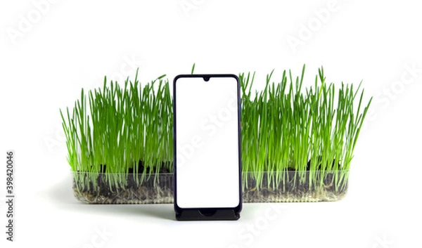 Fototapeta Smartphone with white screen stands on stand in front of green grass on isolated light background.