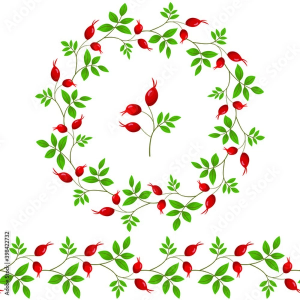 Obraz Seamless brush and round frame, border with rose hip for greeting cards, invitations, posters, banners.