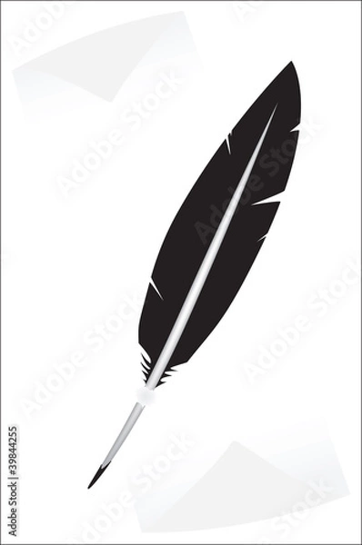 Obraz black feather