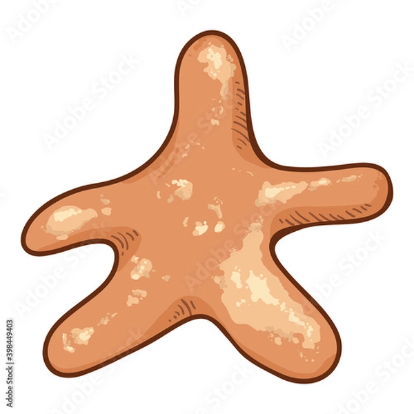 Obraz Vector Cartoon Starfish Illustration