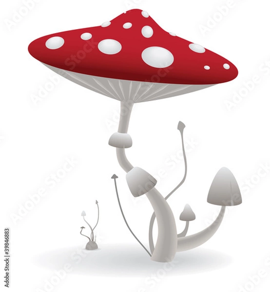 Obraz vector mushroom