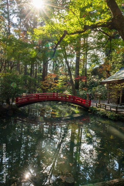 Obraz 静岡県 小國神社の池にかかる赤い橋と社