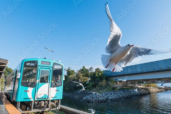 Obraz ローカル線を先導する一羽の白いユリカモメ