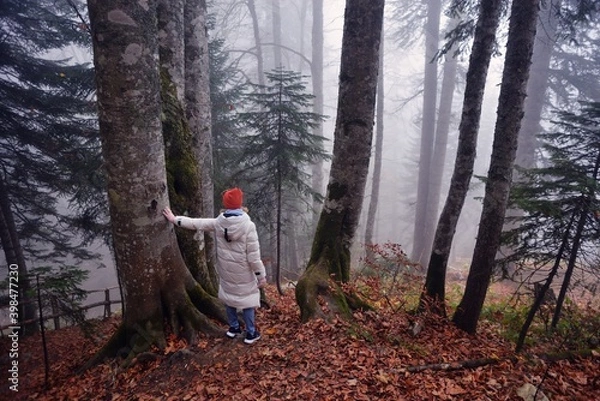 Obraz Lost in the woods