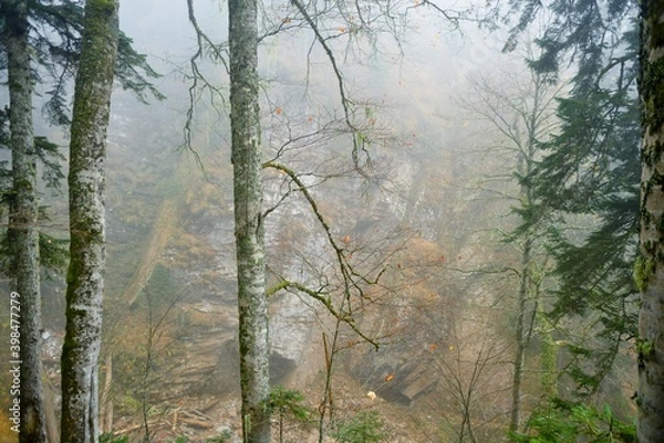 Obraz Misty mountain 2