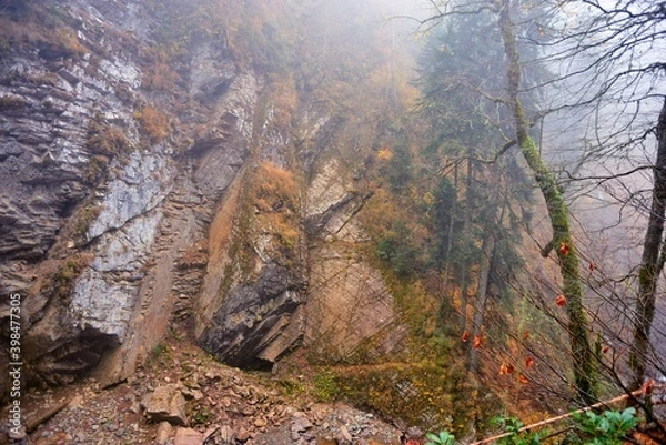 Obraz Misty mountain