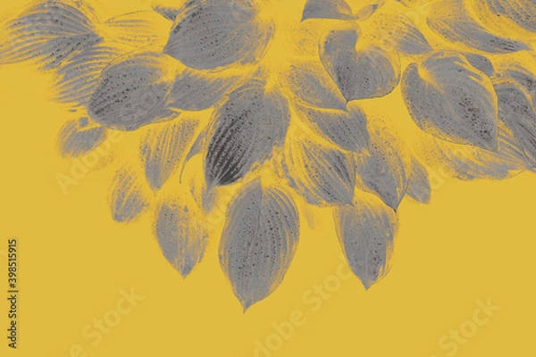 Fototapeta Abstract gray leaves on a yellow background.