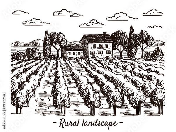 Fototapeta A sketch of a vineyard landscape. Handmade illustration. There are beautiful views of mountains, trees, houses, clouds and plantations. Suitable for decorating wine and natural products.