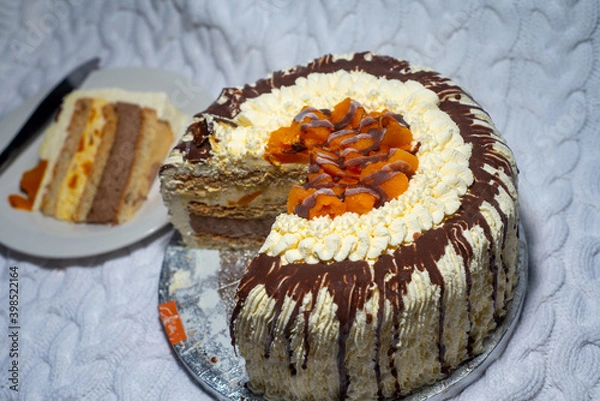 Obraz Ice cream cake