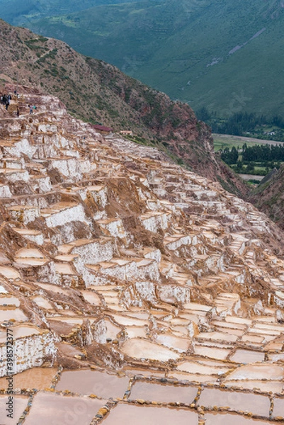 Obraz câlineras de maras