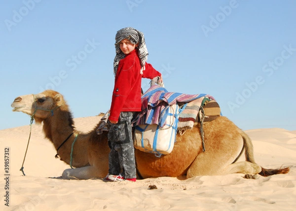 Obraz dziecko i dromader