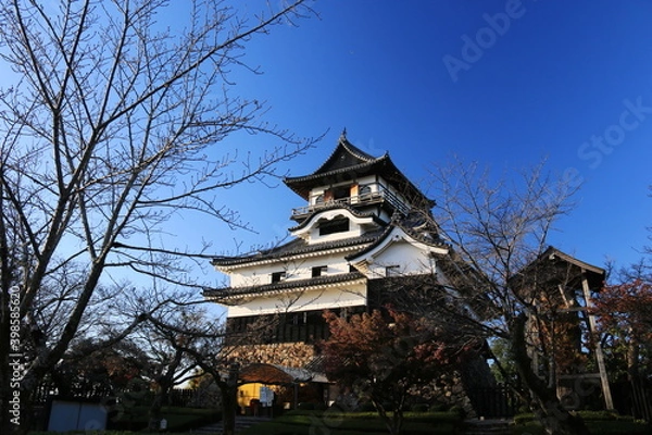Fototapeta 日本の秋　愛知県犬山市　犬山城