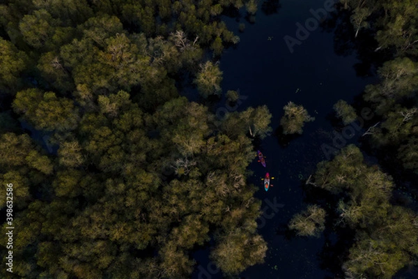 Fototapeta Aerial view of Travel Kayaking, Travel Paddling Transparent Canoe Kayak in peat swamp forest wetlands in evening time.