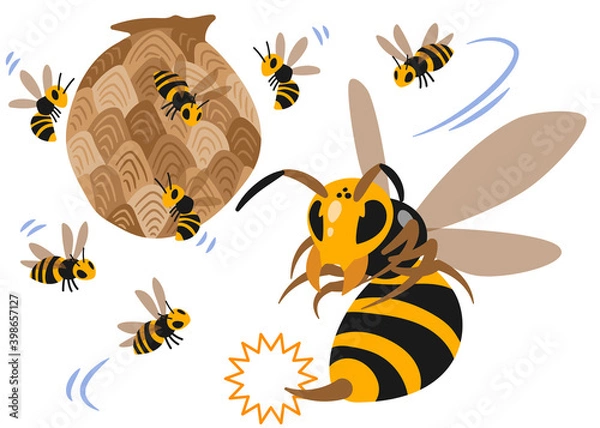 Fototapeta スズメバチ