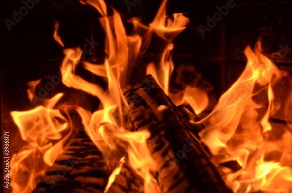 Obraz feuer