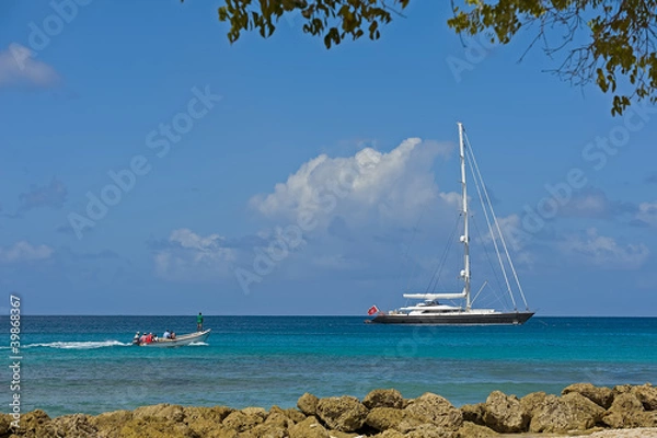 Obraz Barbados 19559