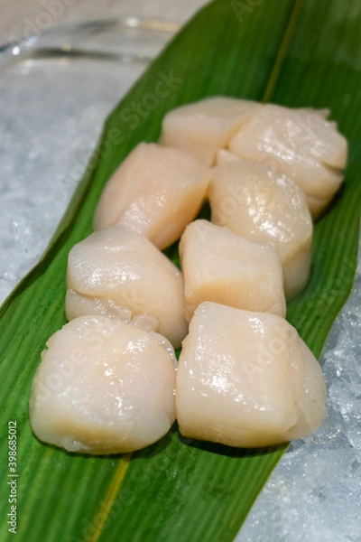 Obraz Raw Scallops