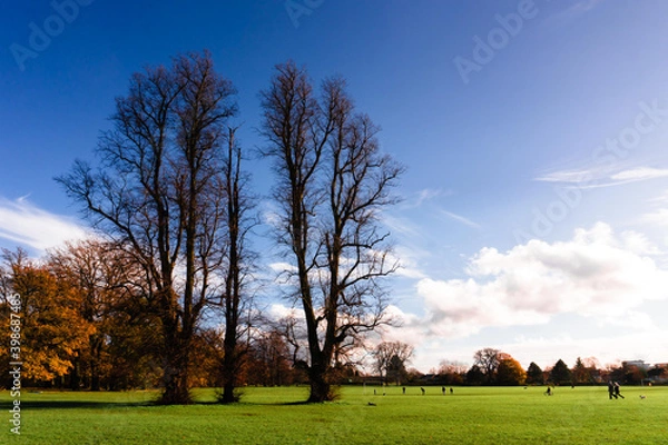 Obraz Autumn-Winter Landscapes