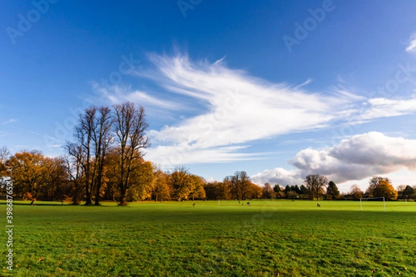 Obraz Autumn-Winter Landscapes