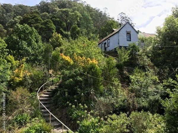 Fototapeta house with stairs in forest