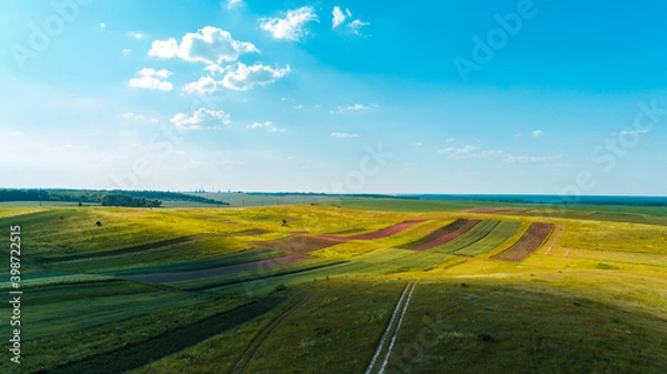 Fototapeta the green field is at sunset shot with the drone